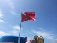 Great day of scuba diving in Key Largo with Rainbow Reef on french reef tropical explorer 2015 04 14 r1401 2