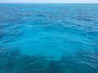 Great day of scuba diving in Key Largo with Rainbow Reef on french reef tropical odyssey 2015 04 21 r1425 2