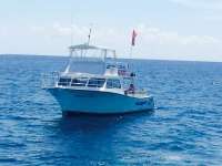 Great day of scuba diving in Key Largo with Rainbow Reef on molasses reef tropical adventure 2015 04 01 r1350 1