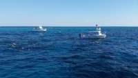 Great day of scuba diving in Key Largo with Rainbow Reef on molasses reef tropical adventure 2015 04 02 r1352 1