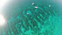 Great day of scuba diving in Key Largo with Rainbow Reef on molasses reef tropical explorer 2015 04 23 r1431 1