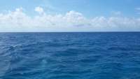 Great day of scuba diving in Key Largo with Rainbow Reef on molasses reef tropical odyssey 2015 04 08 r1376 1
