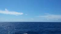 Great day of scuba diving in Key Largo with Rainbow Reef on molasses reef tropical odyssey 2015 04 23 r1435 1