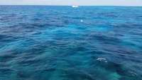 Great day of scuba diving in Key Largo with Rainbow Reef on molasses reef tropical odyssey 2015 04 25 r1438 1