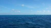 Great day of scuba diving in Key Largo with Rainbow Reef on permit ledges tropical odyssey 2015 04 08 r1374 1