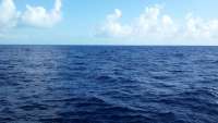 Great day of scuba diving in Key Largo with Rainbow Reef on spiegel grove tropical adventure 2015 04 11 r1386 1