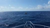 Great day of scuba diving in Key Largo with Rainbow Reef on spiegel grove tropical adventure 2015 04 15 r1404 1