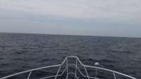 Great day of scuba diving in Key Largo with Rainbow Reef on spiegel grove tropical adventure 2015 04 28 r1450 1
