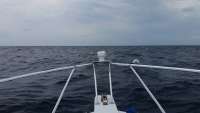 Great day of scuba diving in Key Largo with Rainbow Reef on spiegel grove tropical explorer 2015 04 30 r1455 1