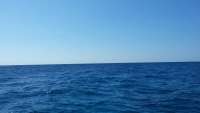 Great day of scuba diving in Key Largo with Rainbow Reef on uscgc duane tropical explorer 2015 04 02 r1354 1