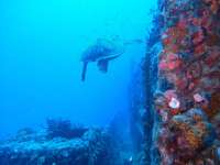 Great day of scuba diving in Key Largo with Rainbow Reef on uscgc duane tropical odyssey 2015 04 27 r1447 1