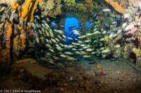 Great day of scuba diving in Key Largo with Rainbow Reef on uscgc duane tropical voyager 2015 04 15 r1406 2