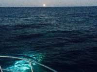 Great day of scuba diving in Key Largo with Rainbow Reef on winch hole tropical adventure 2015 04 04 r1363 2