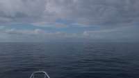 Great day of scuba diving in Key Largo with Rainbow Reef on christ statue tropical adventure 2015 08 27 r1947 1