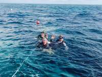 Great day of scuba diving in Key Largo with Rainbow Reef on eagle ray alley tropical explorer 2015 08 20 r1913 1
