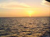 Great day of scuba diving in Key Largo with Rainbow Reef on eagle ray alley tropical odyssey 2015 08 06 r1858 1