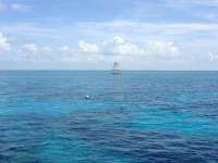 Great day of scuba diving in Key Largo with Rainbow Reef on eagle ray alley tropical voyager 2015 08 13 r1882 1