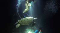 Great day of scuba diving in Key Largo with Rainbow Reef on fire coral cave tropical adventure 2015 08 22 r1932 1