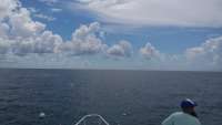 Great day of scuba diving in Key Largo with Rainbow Reef on molasses reef tropical odyssey 2015 08 15 r1892 1