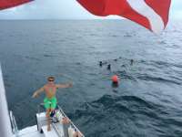 Great day of scuba diving in Key Largo with Rainbow Reef on pickles reef tropical voyager 2015 08 21 r1917 1