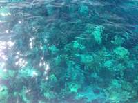 Great day of scuba diving in Key Largo with Rainbow Reef on sand island tropical voyager 2015 08 12 r1878 1