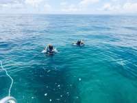 Great day of scuba diving in Key Largo with Rainbow Reef on snapper ledge tropical explorer 2015 08 22 r1927 1