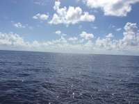 Great day of scuba diving in Key Largo with Rainbow Reef on spiegel grove tropical adventure 2015 08 04 r1847 1
