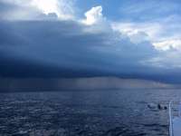 Great day of scuba diving in Key Largo with Rainbow Reef on spiegel grove tropical explorer 2015 08 28 r1948 1