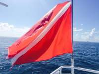 Great day of scuba diving in Key Largo with Rainbow Reef on uscgc duane tropical adventure 2015 08 10 r1870 1