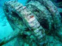 Great day of scuba diving in Key Largo with Rainbow Reef on winch hole tropical odyssey 2015 08 13 r1883 2