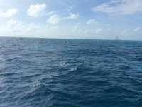 Great day of scuba diving in Key Largo with Rainbow Reef on molasses reef tropical adventure 2015 12 02 r2327 1
