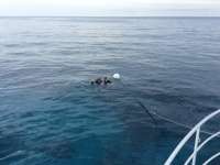 Great day of scuba diving in Key Largo with Rainbow Reef on north star tropical odyssey 2015 12 03 r2330 1