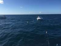 Great day of scuba diving in Key Largo with Rainbow Reef on spiegel grove tropical adventure 2015 12 12 r2364 1