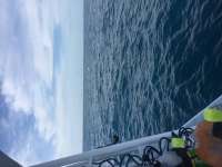 Great day of scuba diving in Key Largo with Rainbow Reef on spiegel grove tropical adventure 2015 12 18 r2385 1
