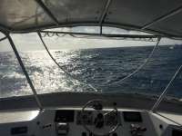 Great day of scuba diving in Key Largo with Rainbow Reef on spiegel grove tropical odyssey 2015 12 31 r2409 1