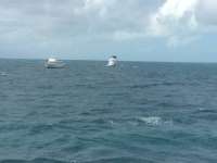 Great day of scuba diving in Key Largo with Rainbow Reef on winch hole tropical odyssey 2015 12 06 r2340 2