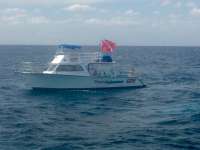 Great day of scuba diving in Key Largo with Rainbow Reef on eagle ray alley tropical odyssey 2015 02 16 r1210 2
