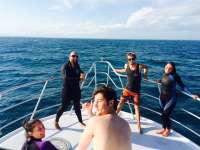 Great day of scuba diving in Key Largo with Rainbow Reef on fire coral cave tropical adventure 2015 02 09 r1189 1