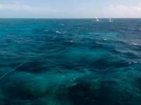 Great day of scuba diving in Key Largo with Rainbow Reef on fire coral cave tropical odyssey 2015 02 28 r1236 3