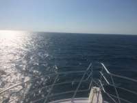 Great day of scuba diving in Key Largo with Rainbow Reef on french reef tropical adventure 2015 02 13 r1200 1