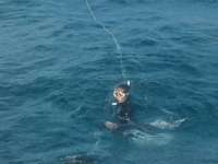 Great day of scuba diving in Key Largo with Rainbow Reef on french reef tropical odyssey 2015 02 08 r1185 1