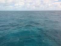 Great day of scuba diving in Key Largo with Rainbow Reef on french reef tropical odyssey 2015 02 08 r1185 2