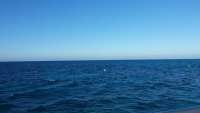 Great day of scuba diving in Key Largo with Rainbow Reef on molasses reef tropical odyssey 2015 02 11 r1191 1