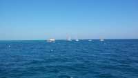 Great day of scuba diving in Key Largo with Rainbow Reef on permit ledges tropical odyssey 2015 02 13 r1199 1