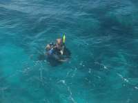 Great day of scuba diving in Key Largo with Rainbow Reef on snapper ledge tropical odyssey 2015 02 08 r1186 2