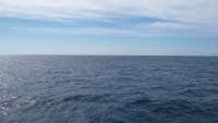 Great day of scuba diving in Key Largo with Rainbow Reef on spiegel grove tropical adventure 2015 02 14 r1201 1
