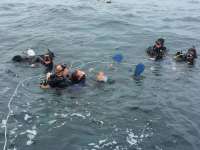 Great day of scuba diving in Key Largo with Rainbow Reef on fire coral cave tropical odyssey 2015 01 20 r1141 1