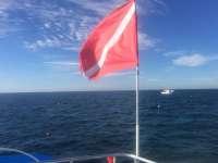Great day of scuba diving in Key Largo with Rainbow Reef on hole in the wall tropical odyssey 2015 01 19 r1136 2