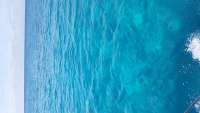 Great day of scuba diving in Key Largo with Rainbow Reef on molasses reef tropical voyager 2015 01 21 r1146 1