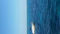 Great day of scuba diving in Key Largo with Rainbow Reef on molasses reef tropical voyager 2015 01 21 r1147 1